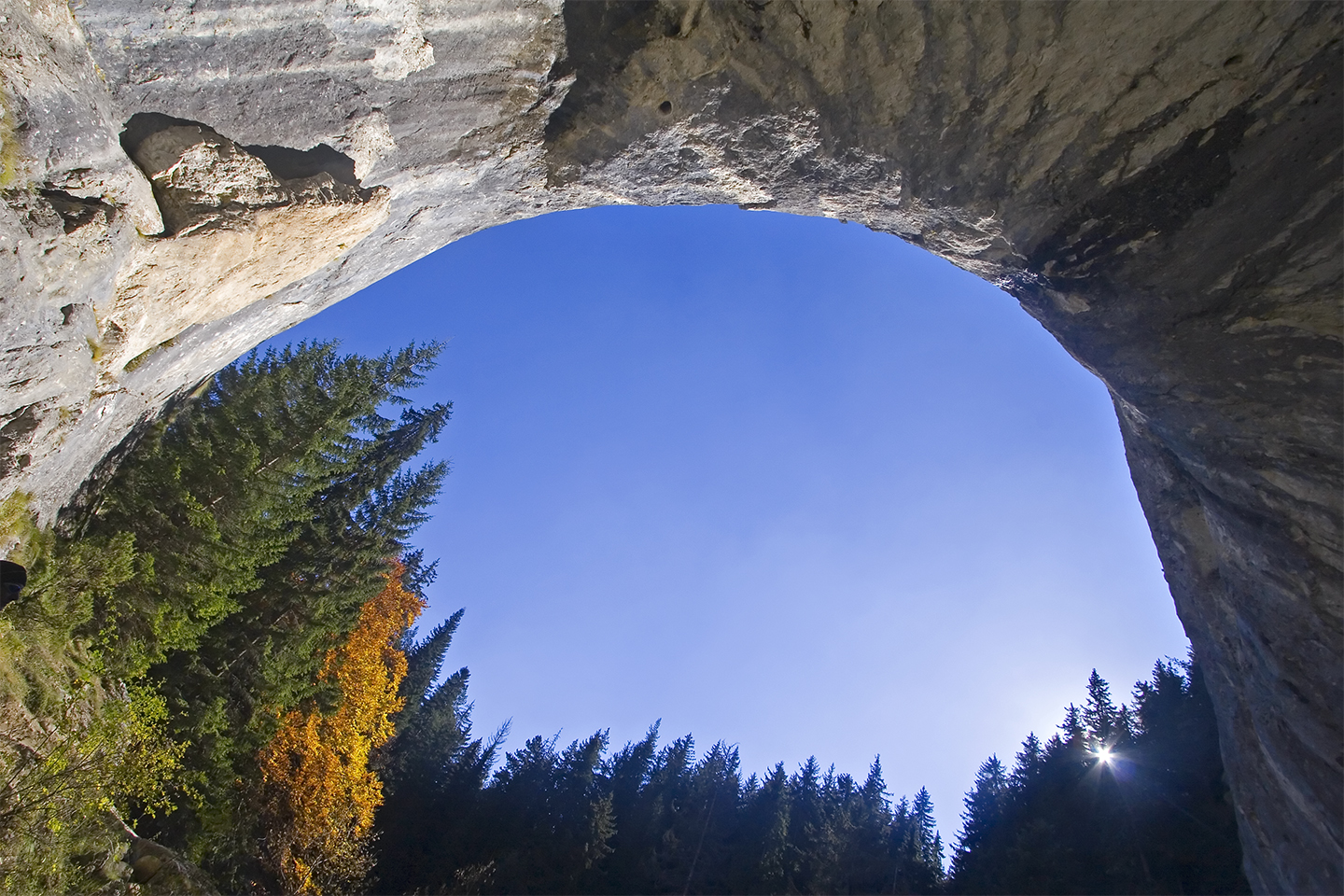 Nature